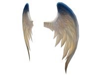 Click image for larger version  Name:	Horus Wings.png Views:	0 Size:	300.6 KB ID:	28385